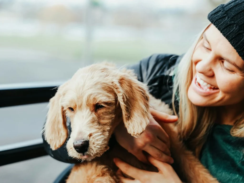 Pet shop: quem vende com a Loja Virtual Ilimitada